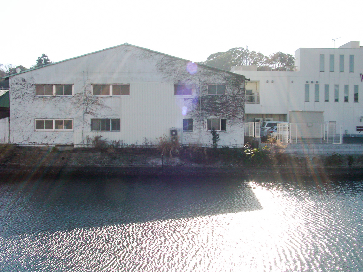 f:id:fortia:20210316221550j:plain