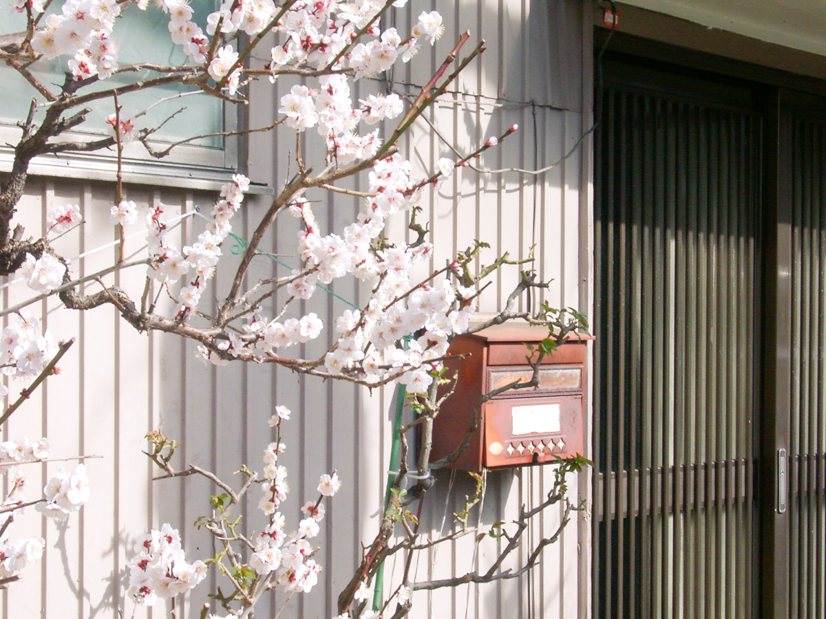 f:id:fortia:20210316224750j:plain