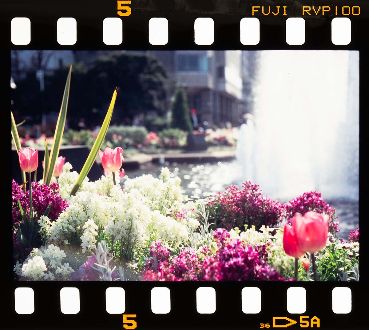 f:id:fortia:20211029235348j:plain