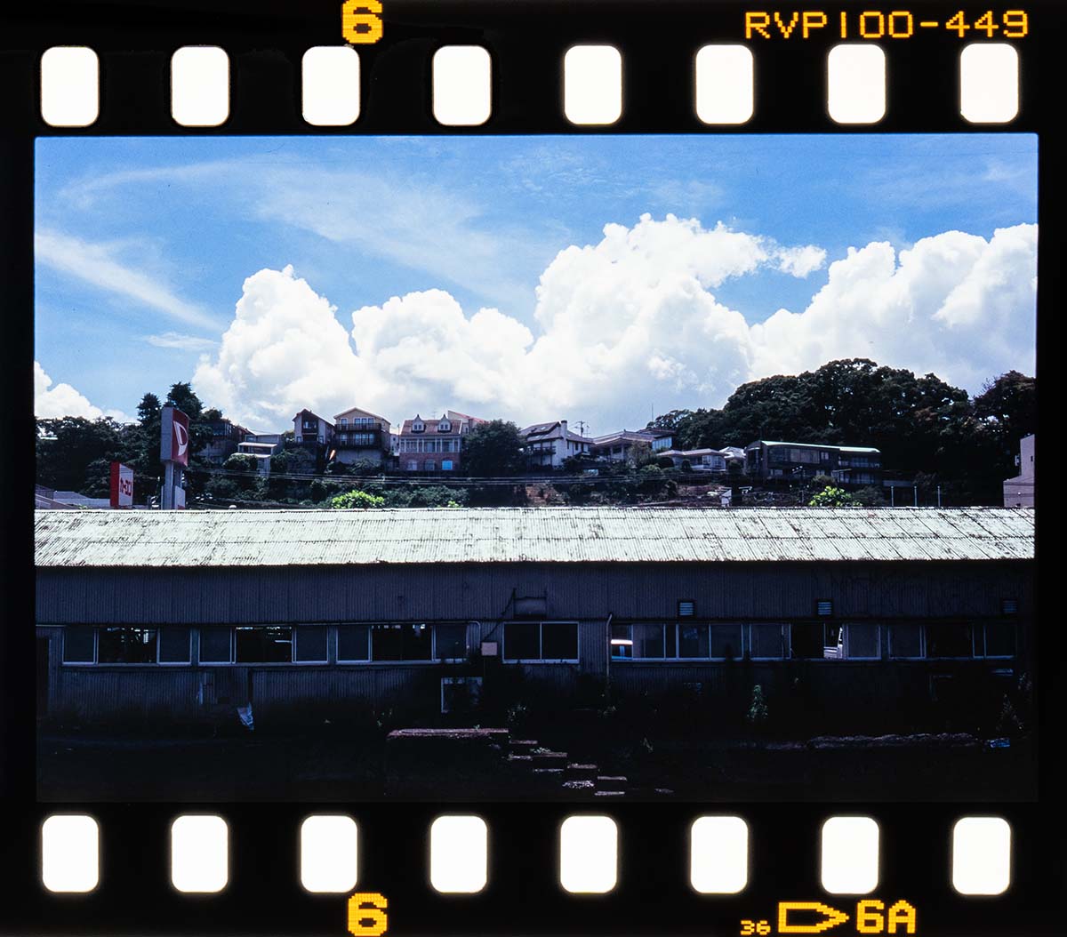 Leitz minolta CL + NOKTON 50mm, 1/1000, F8, Velvia100F