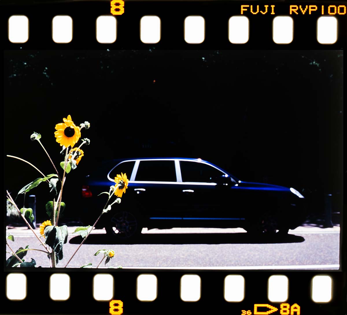 Leitz minolta CL + NOKTON 50mm, 1/500, F8, Velvia100F