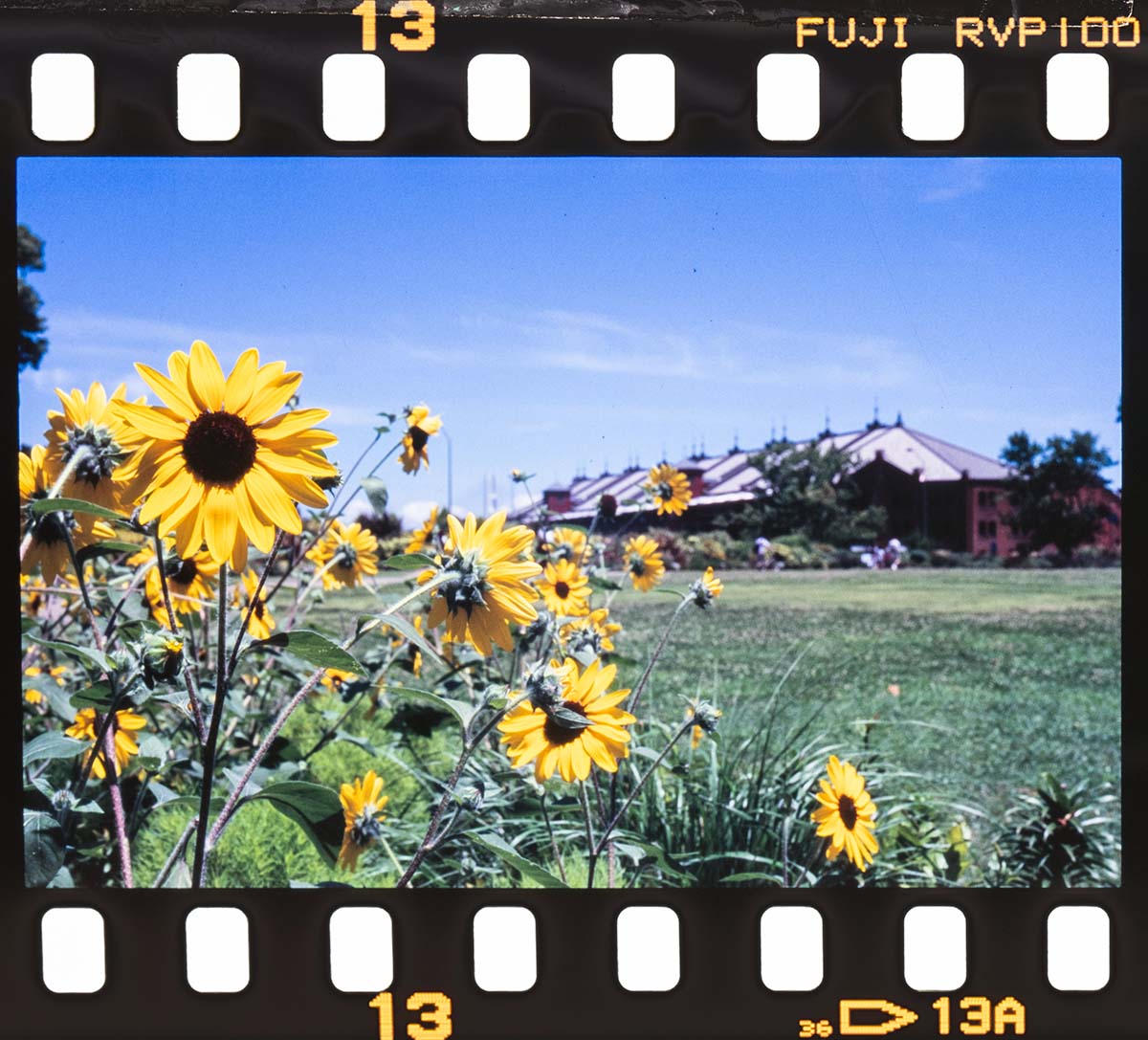 Leitz minolta CL + NOKTON 50mm, 1/250, F11, Velvia100F