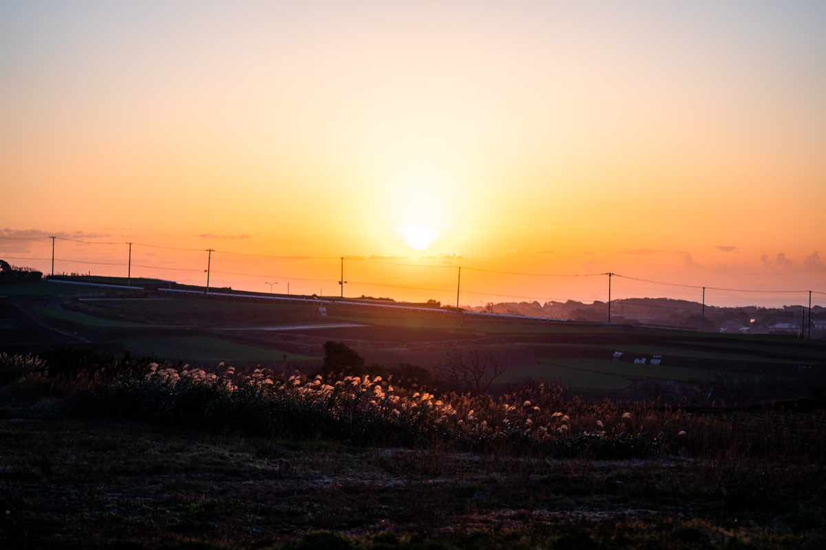 α9 + FE85mmF1.8, ISO200, F1.8, 1/5000