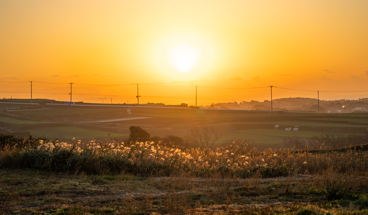 α1 + FE85mmF1.8, ISO100, F1.8, 1/4000