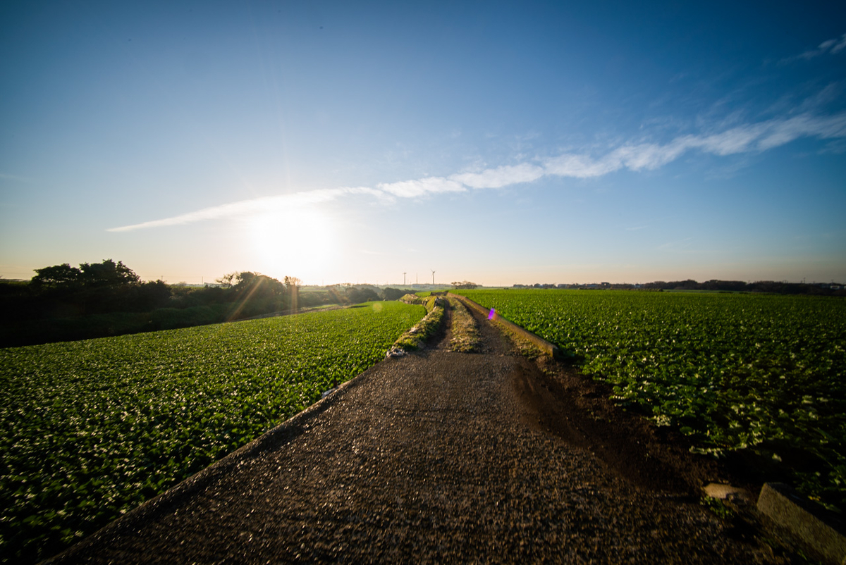 α7SII + HeliarHyperWide10mmF5.6,  ISO100, F値不明, 1/30