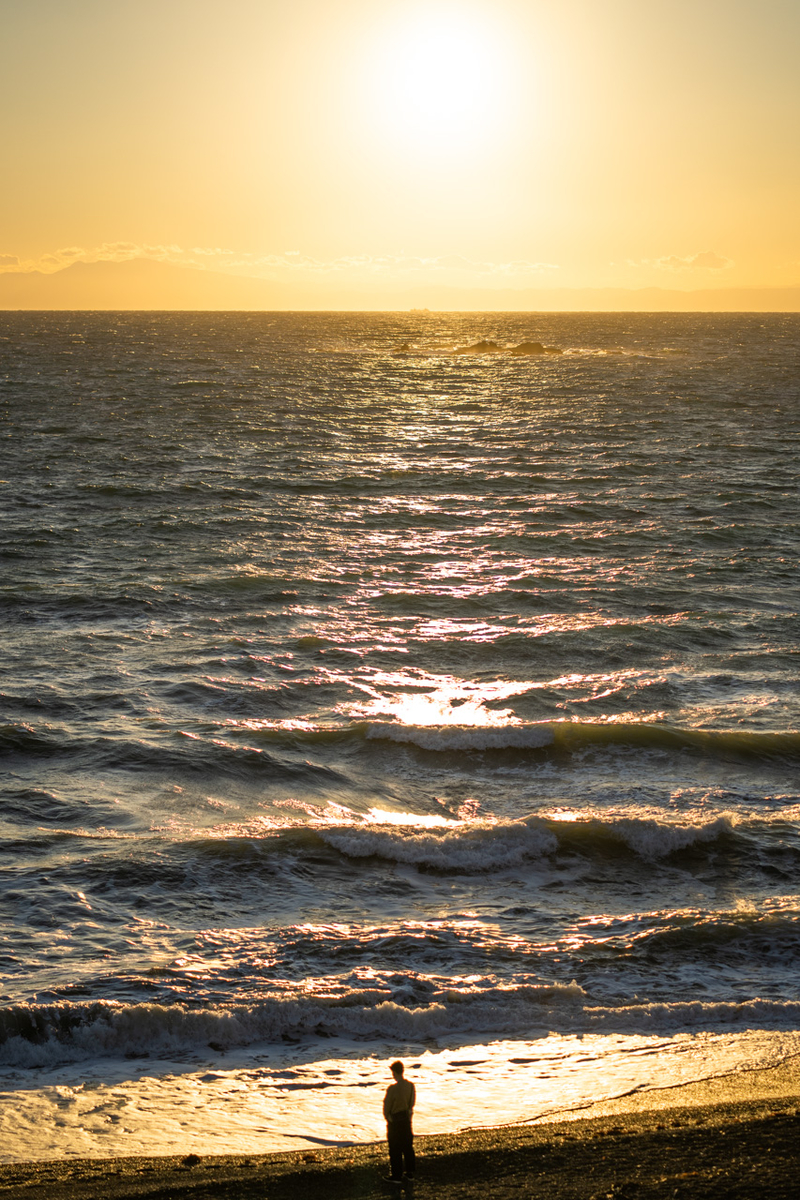 α1 + FE85mmF1.8, ISO100, F1.8, 1/10000