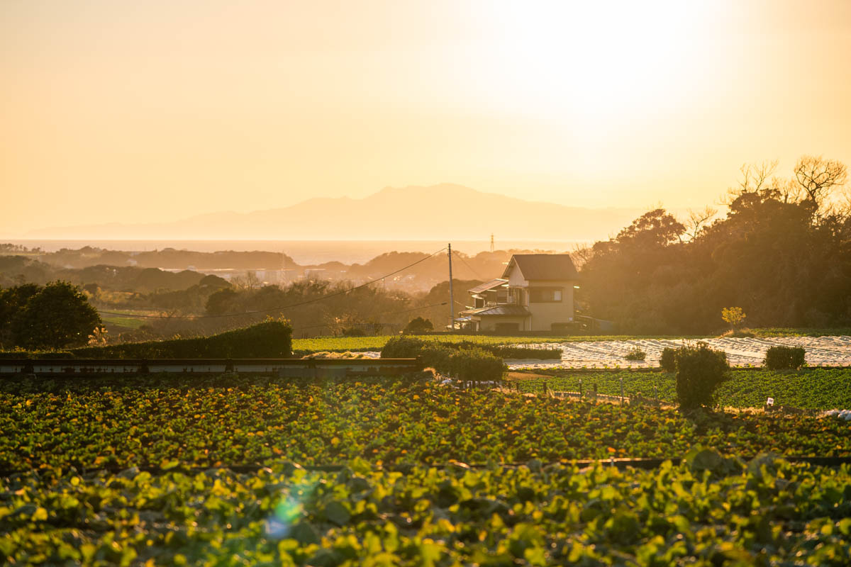 α7R2 + LA-EA4 + 135mmF1.8ZA, ISO100, F3.2, 1/1000