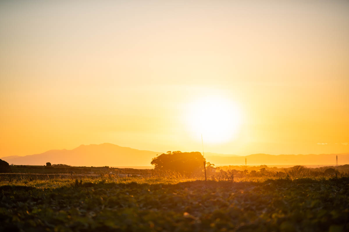 α7R2 + LA-EA4 + 135mmF1.8ZA, ISO100, F1.8, 1/2500