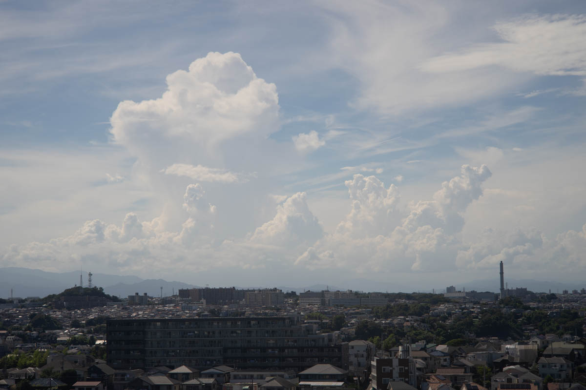 α1+CarlZeissJena Sonnar 8.5cm, ISO100, F8, 1/640