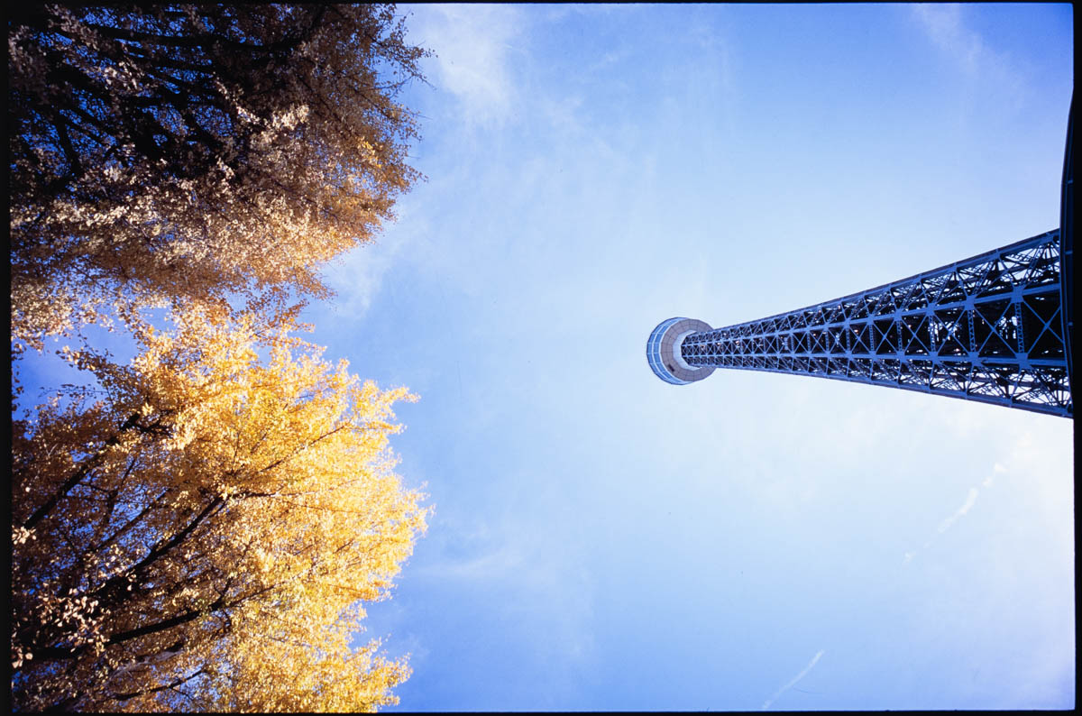 G1 + Hologon8/16, Velvia100, F8, 1/90