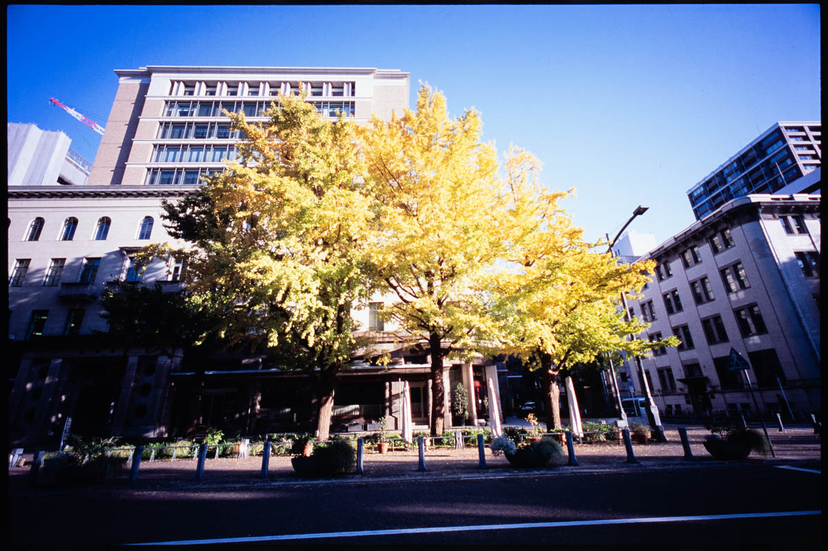 G1 + Hologon8/16, Velvia100, F8, 1/45