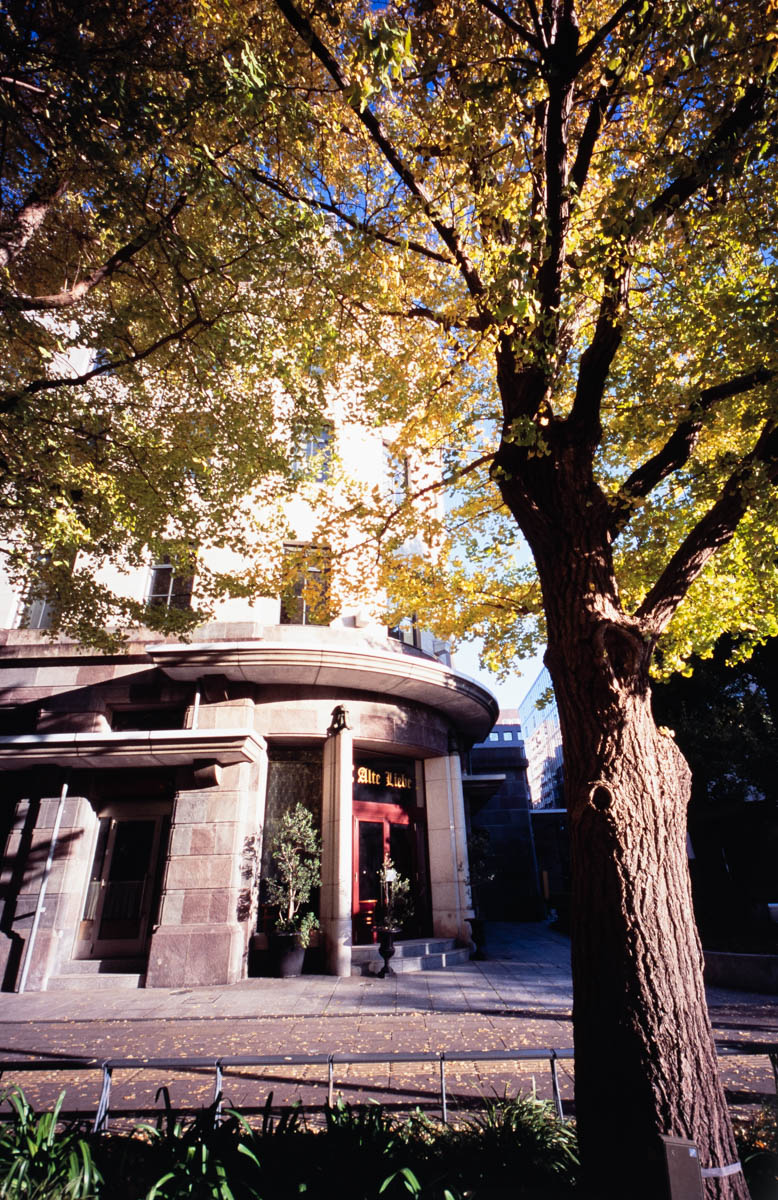 G1 + Hologon8/16, Velvia100, F8, 1/45