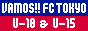 f:id:fortune-tokyo:20100530150905g:image