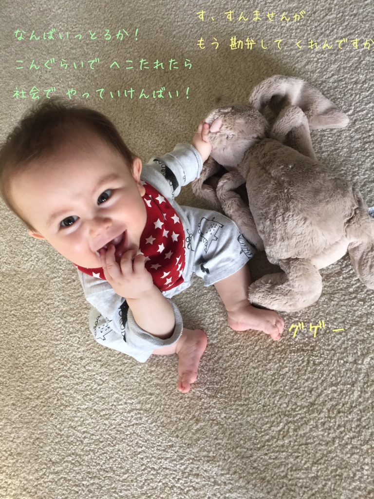 うさぎのぬいぐるみで遊ぶ赤ちゃん