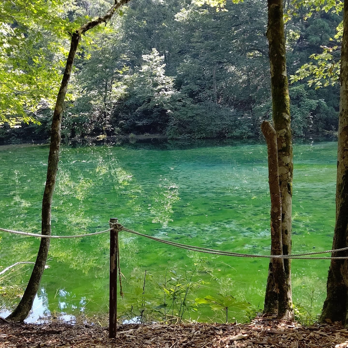 f:id:fot-fro-joy:20210827204933j:plain