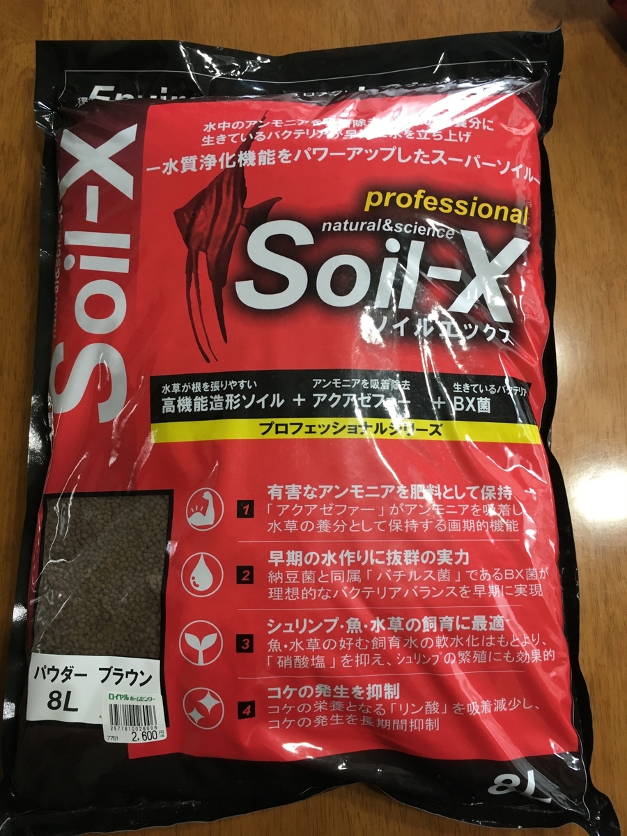 f:id:fotane:20200215144619j:plain