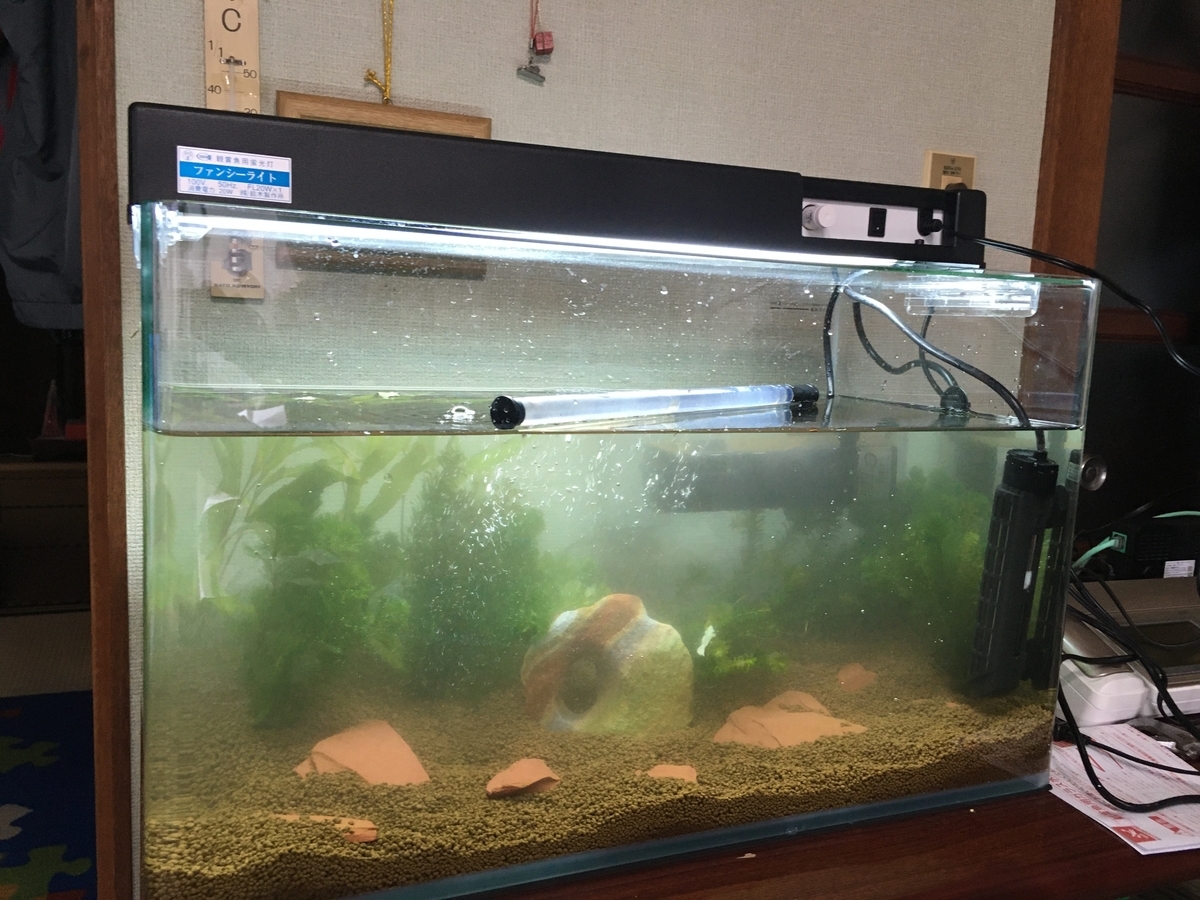 f:id:fotane:20200215160046j:plain