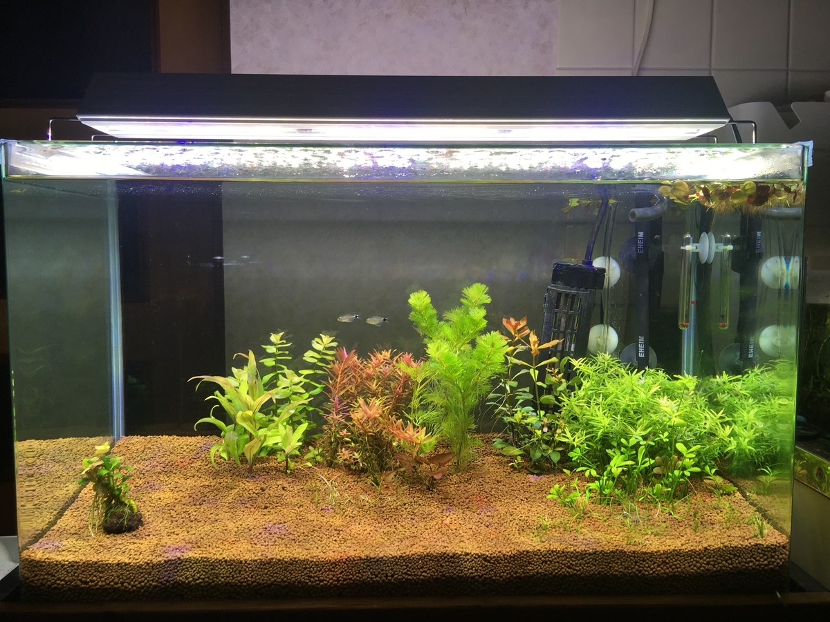 f:id:fotane:20220109174003j:plain