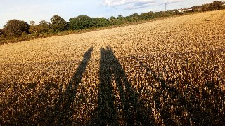 f:id:fotheringay:20190914201530j:image