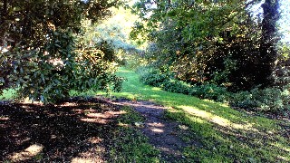 f:id:fotheringay:20190930203006j:image