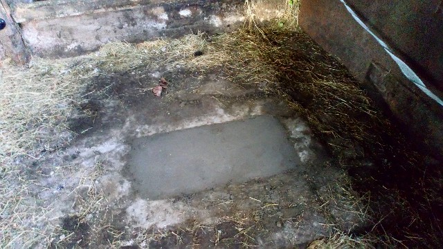 f:id:fotheringay:20211208024223j:image