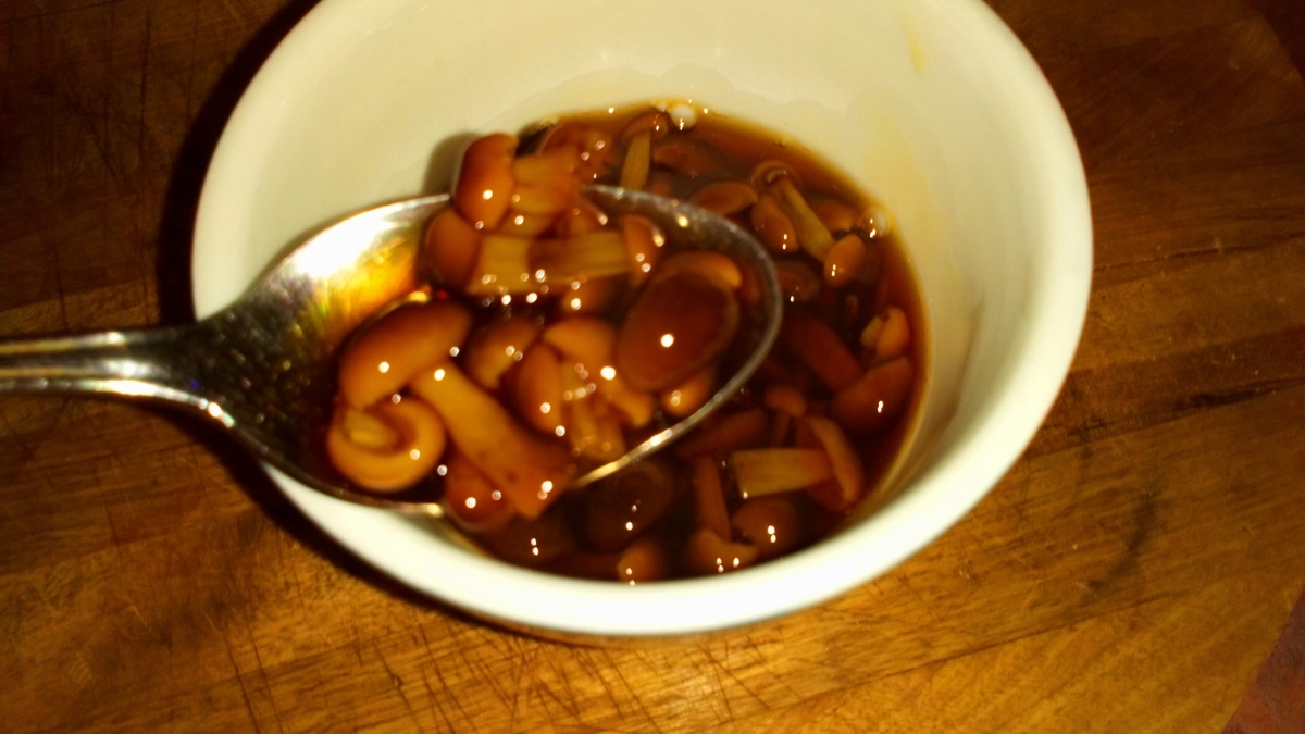 えのきたけページ backend=imagemagick;version=1;