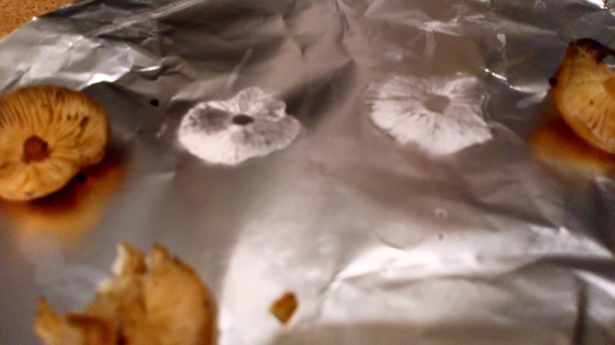 えのきたけページ backend=imagemagick;version=1;