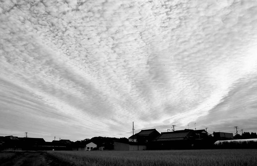 f:id:fotoroman:20161203172440j:plain f:id:fotoroman:20161203172440j:plain