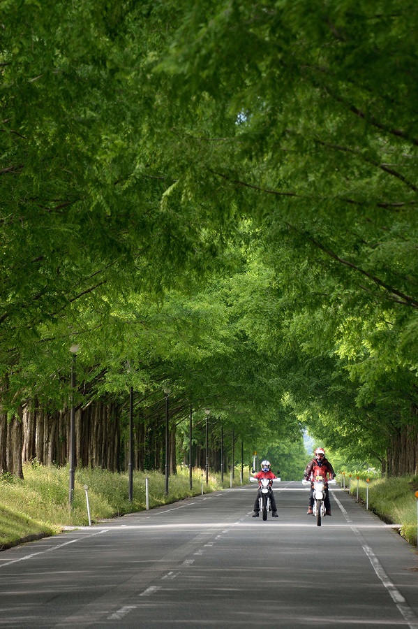 f:id:fotoroman:20170610174812j:plain