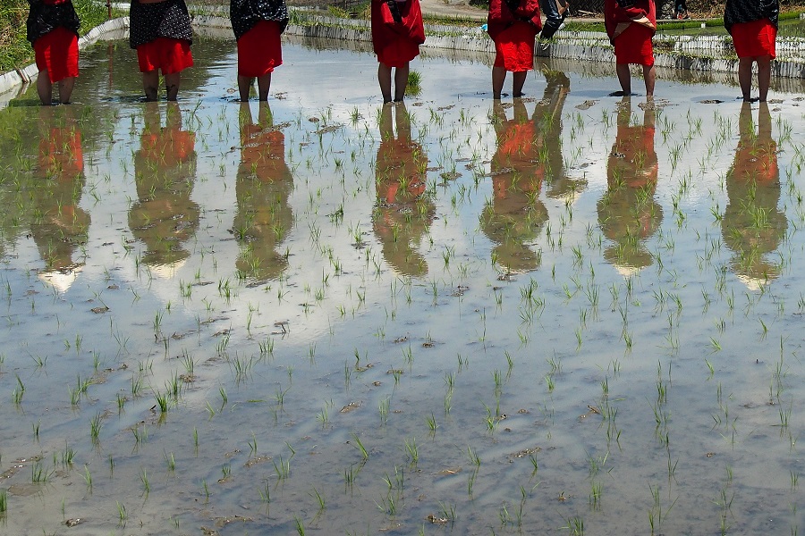 f:id:fotoroman:20170610175630j:plain