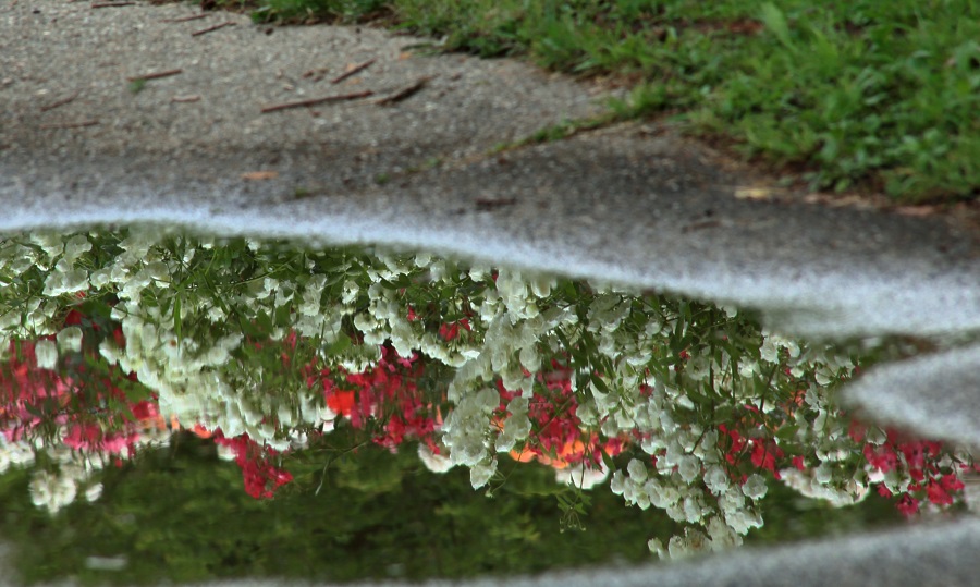 f:id:fotoroman:20170610180004j:plain