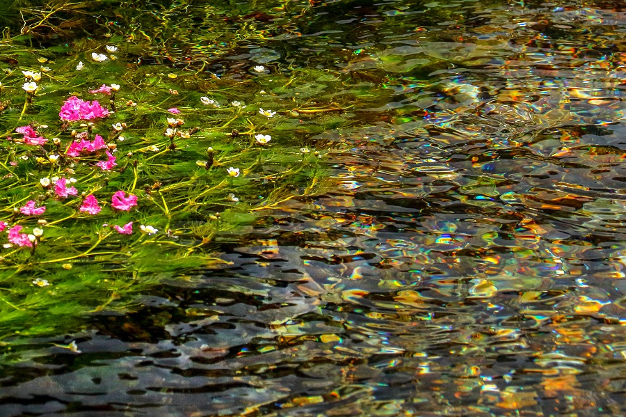 f:id:fotoroman:20180909173210j:plain