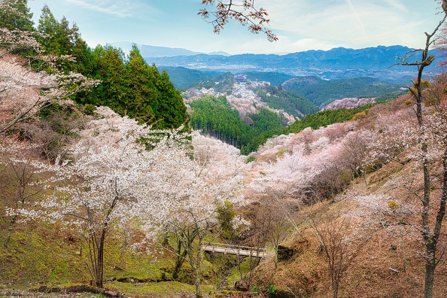 f:id:fotoroman:20200515200406j:plain f:id:fotoroman:20200515200406j:plain