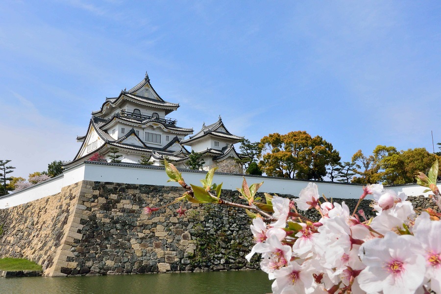 f:id:fotoroman:20200515200624j:plain f:id:fotoroman:20200515200624j:plain