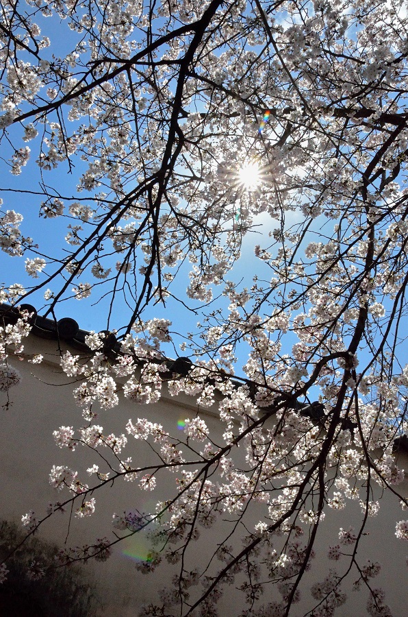 f:id:fotoroman:20200515200823j:plain f:id:fotoroman:20200515200823j:plain