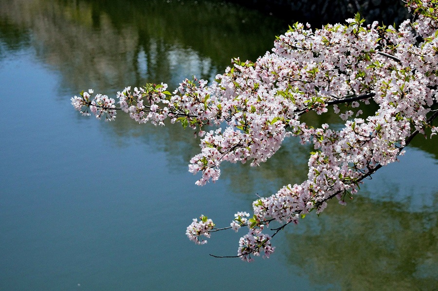 f:id:fotoroman:20200515200902j:plain f:id:fotoroman:20200515200902j:plain