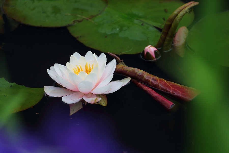 f:id:fotoroman:20200515201358j:plain f:id:fotoroman:20200515201358j:plain