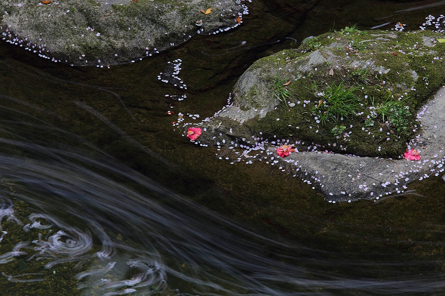 f:id:fotoroman:20200515201516j:plain f:id:fotoroman:20200515201516j:plain