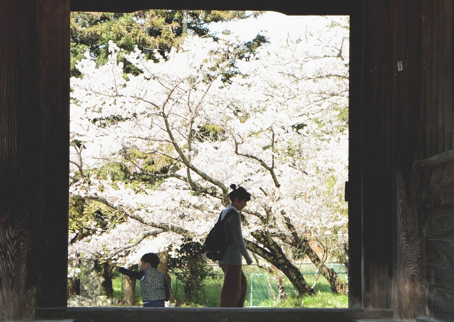 f:id:fotoroman:20200515202243j:plain f:id:fotoroman:20200515202243j:plain
