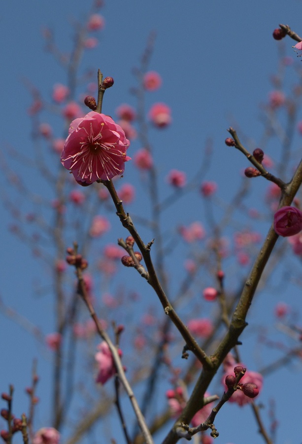 f:id:fotoroman:20210114162728j:plain