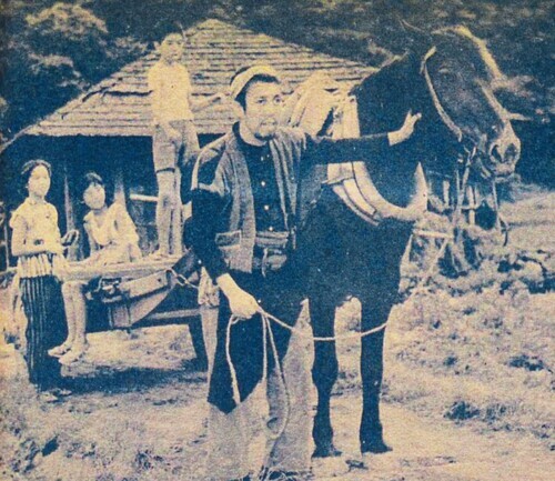馬と、かかしと 伊藤雄之助 - 脇役本 