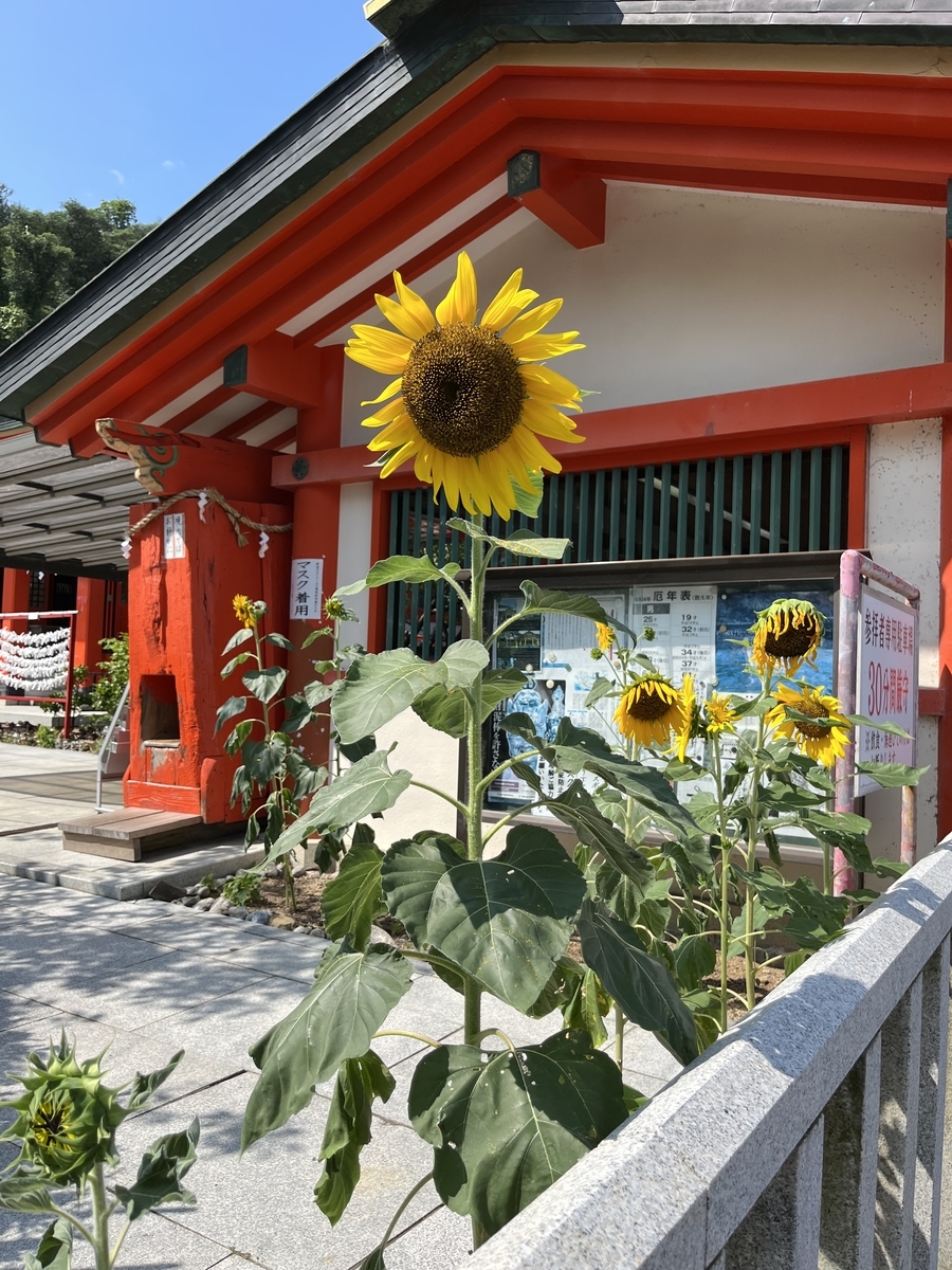 22年8月21日 日 もう8月後半戦 発達障がいの話vol 5 ふぉるすりーるブログ 不登校 発達障害支援の学習塾 By 加藤光治