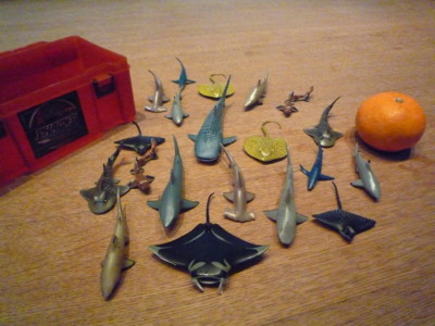 f:id:founder:20090106072949j:image