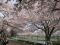 桜の森の満開の下