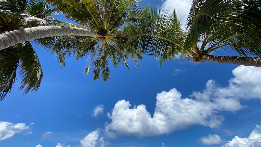 f:id:four-engine-driver:20191123150128j:image