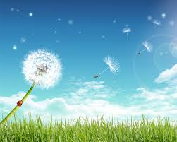 f:id:fouresourire:20200218231703j:plain