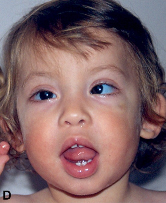 f:id:fouresourire:20200413231614j:plain