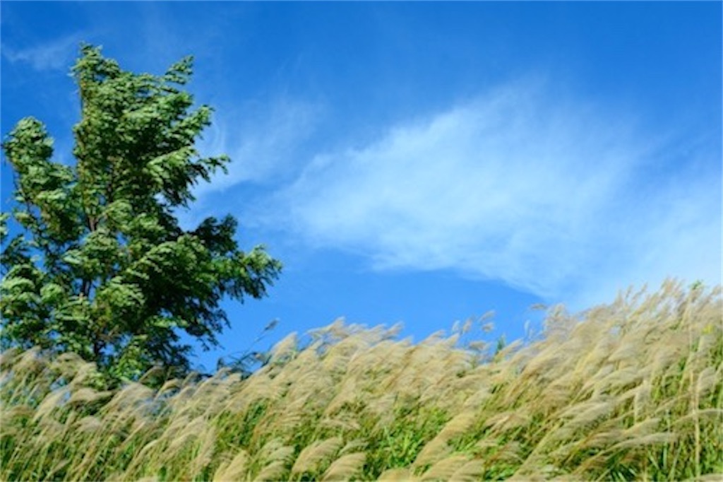 f:id:fouresourire:20210129135716j:image