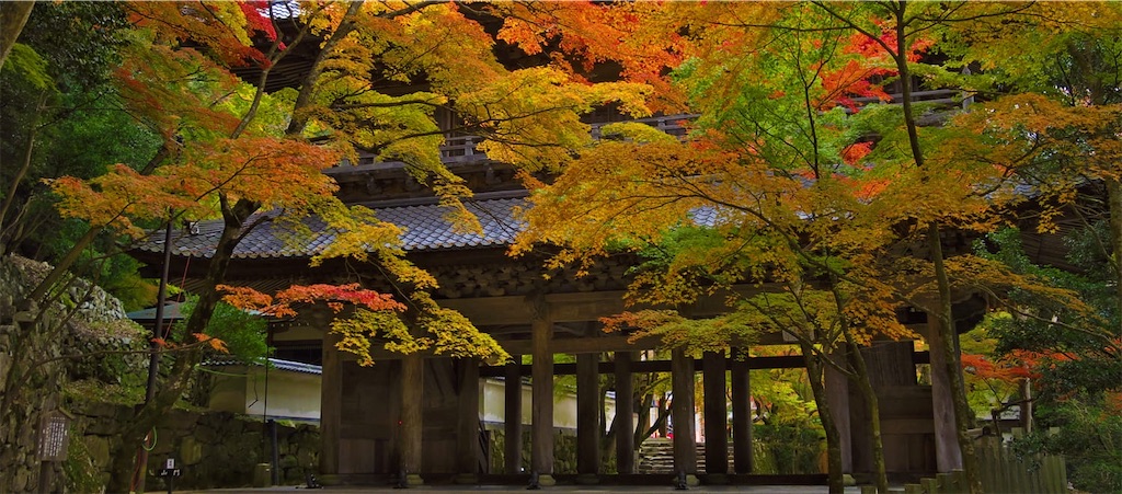 f:id:fouresourire:20211104193214j:image f:id:fouresourire:20211104193214j:image