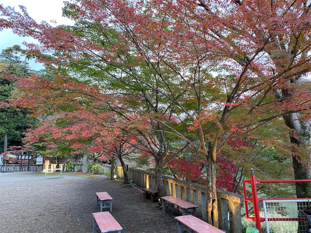 f:id:fouresourire:20211109162806j:image f:id:fouresourire:20211109162806j:image